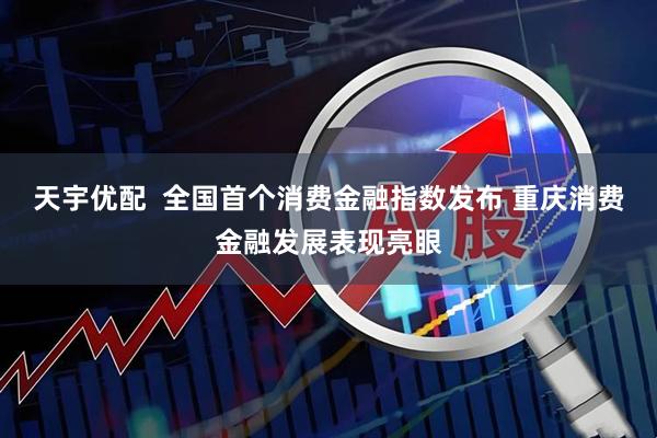 天宇优配  全国首个消费金融指数发布 重庆消费金融发展表现亮眼