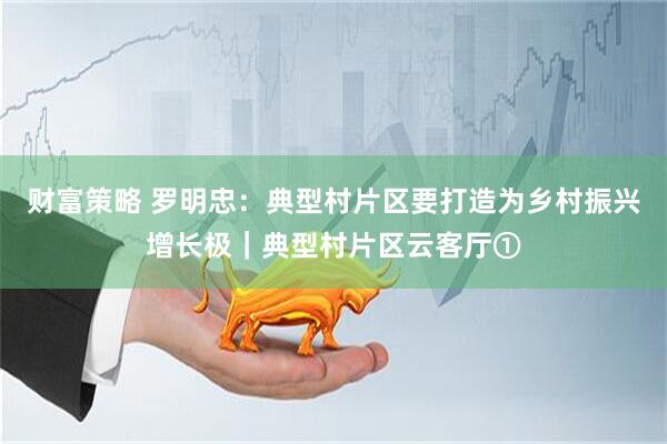 财富策略 罗明忠：典型村片区要打造为乡村振兴增长极｜典型村片区云客厅①