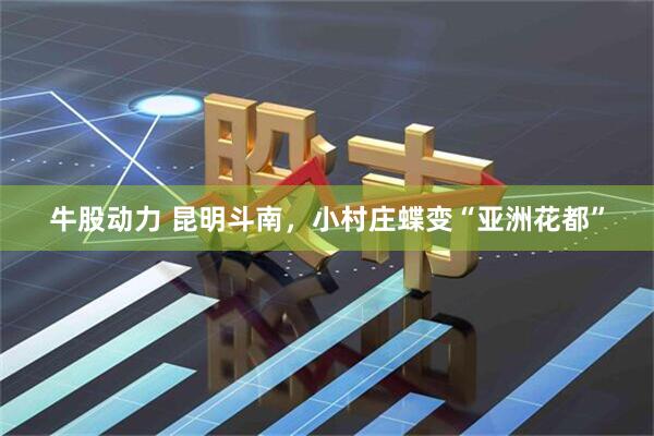 牛股动力 昆明斗南，小村庄蝶变“亚洲花都”