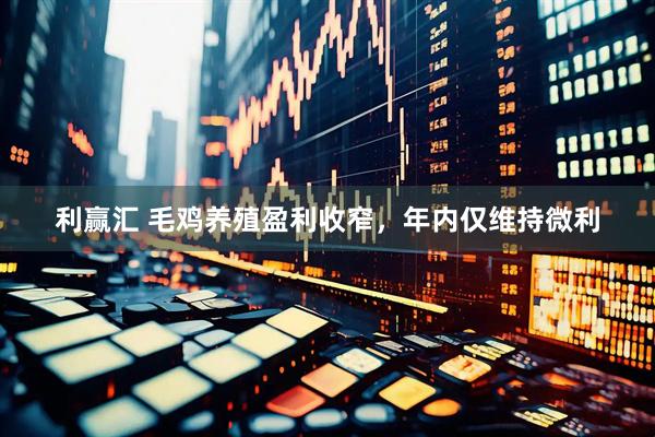 利赢汇 毛鸡养殖盈利收窄，年内仅维持微利